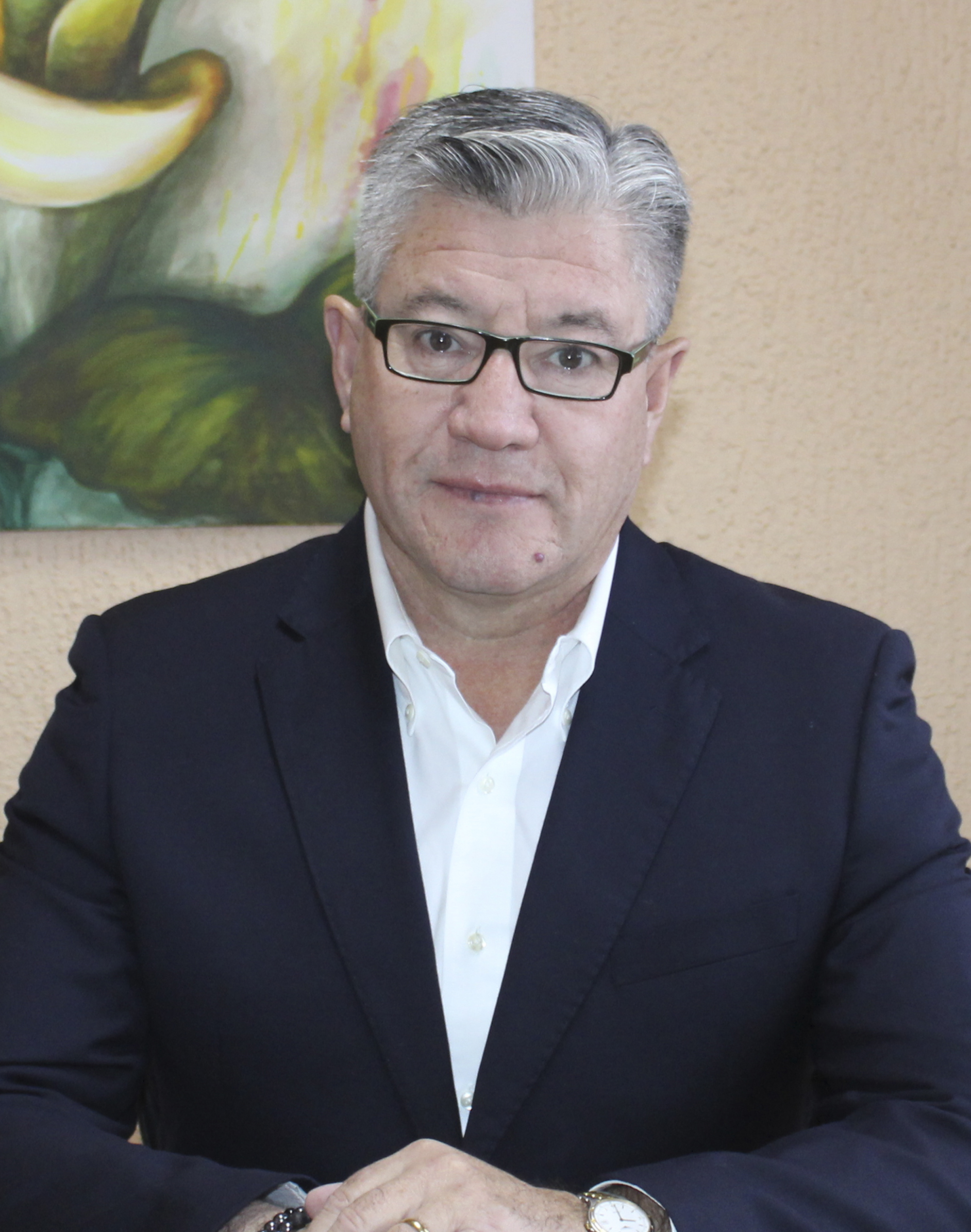 Carlos Alberto Lagos Jaramillo - Gerente Técnico